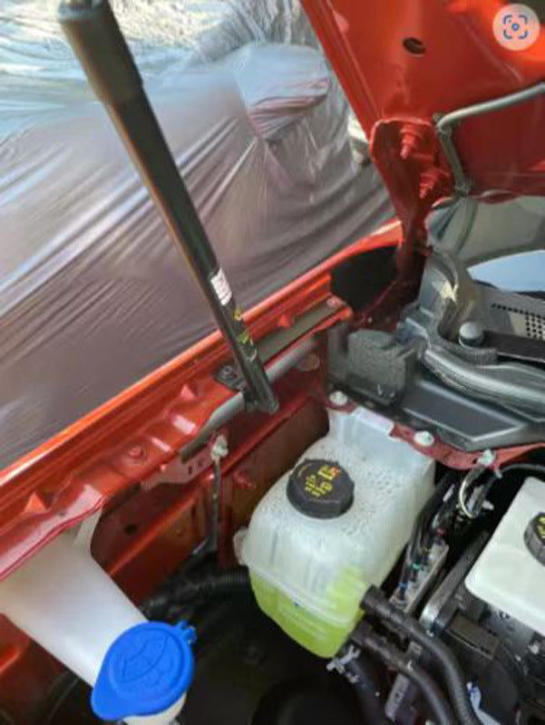 Next Gen Ranger Bonnet (Hood) Gas Struts